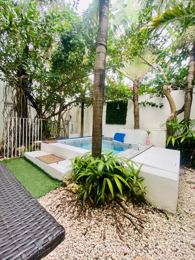 Apartment Cozy And Two Bedrooms Acasadialexplayadelcarmen Playa del Carmen