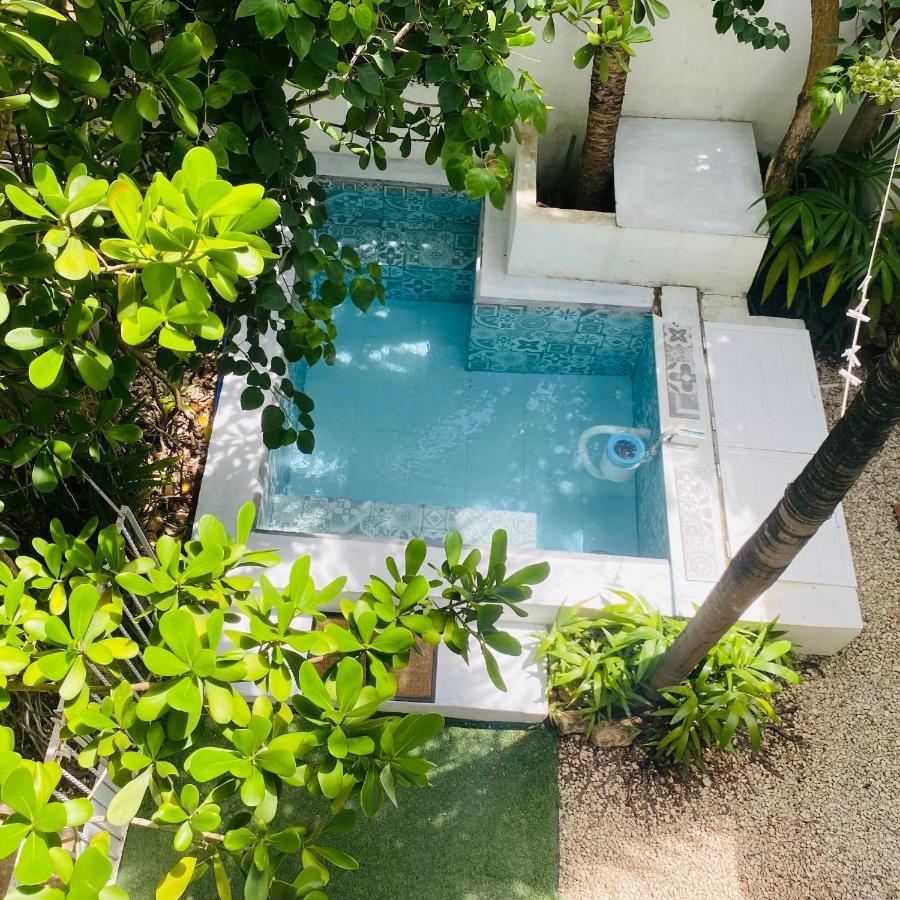 Apartment Cozy And Two Bedrooms Acasadialexplayadelcarmen Playa del Carmen