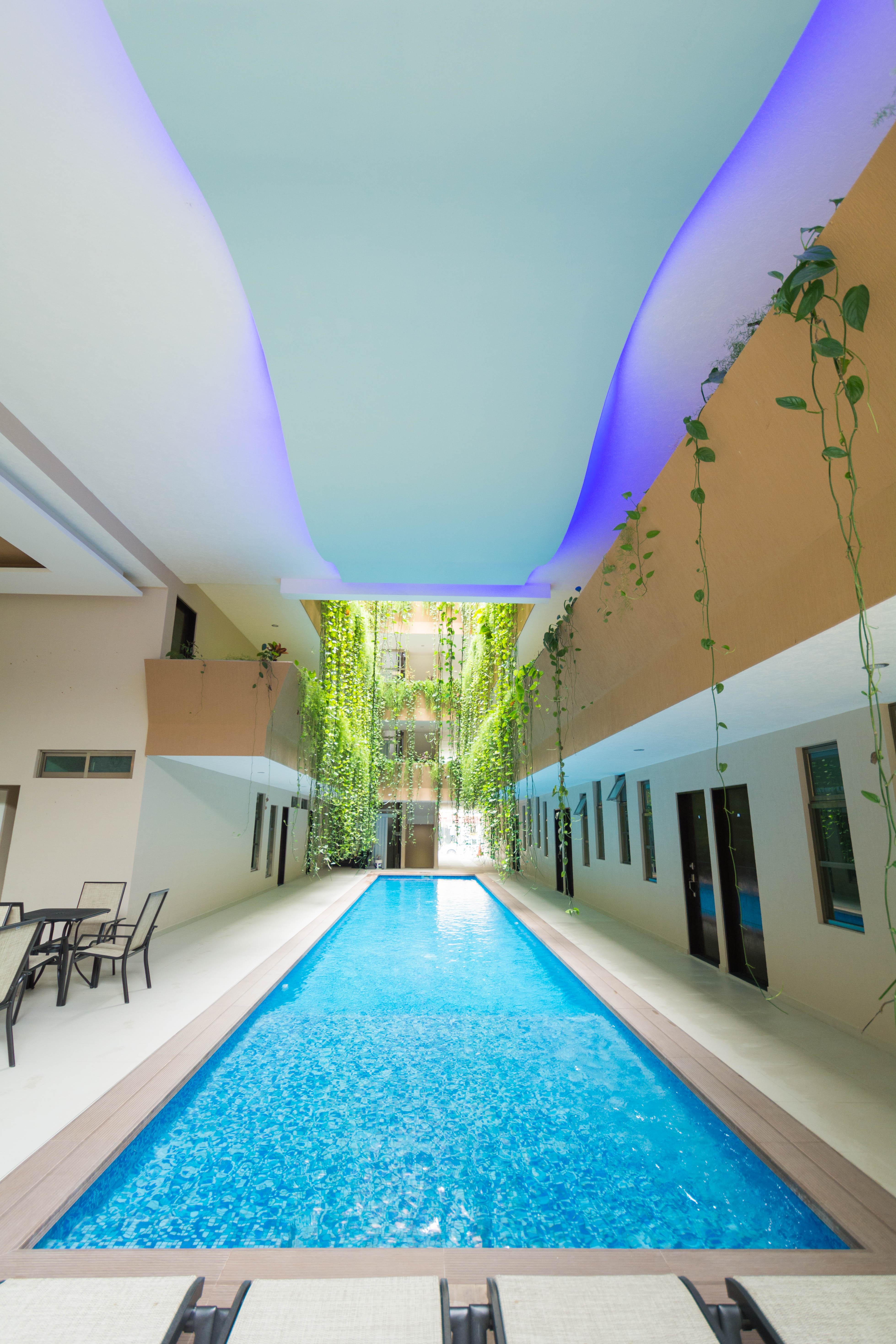Hotel Palmarena & Residences - Long Comfort With Parking, Sauna, Gym & Pool - Steps From 5th Avenue Playa del Carmen