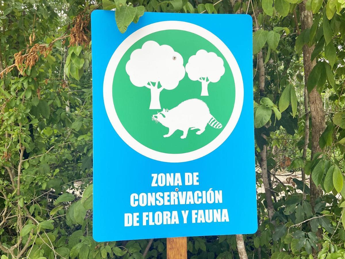 En Jardines De Mayakoba - Alberca & Parking