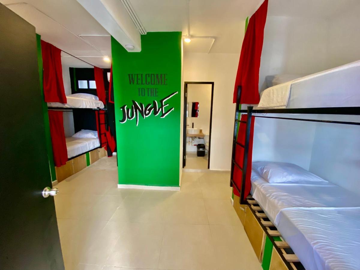Hostel Why Not Rooftop Party