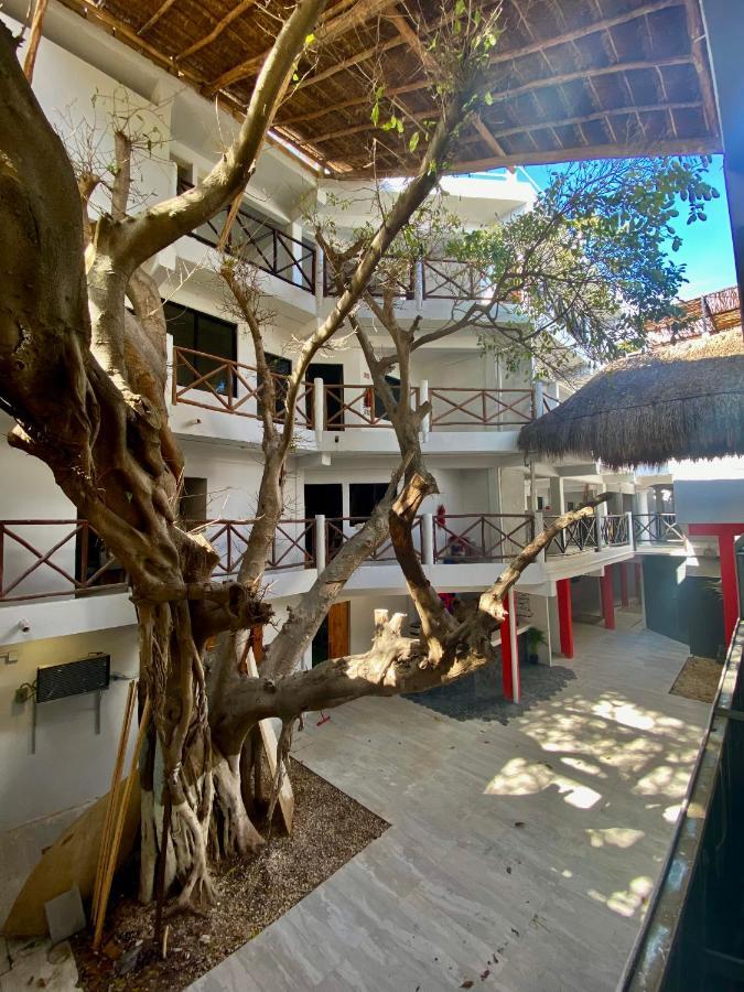 Hostel Why Not Rooftop Party Playa del Carmen