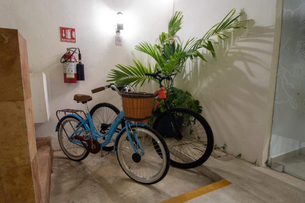Segovia 4* Playa del Carmen