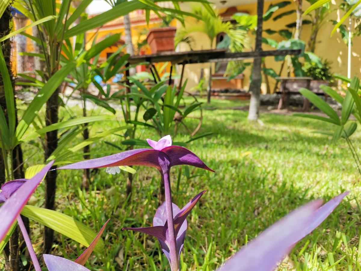 Hacienda Valentina Hotel 3*