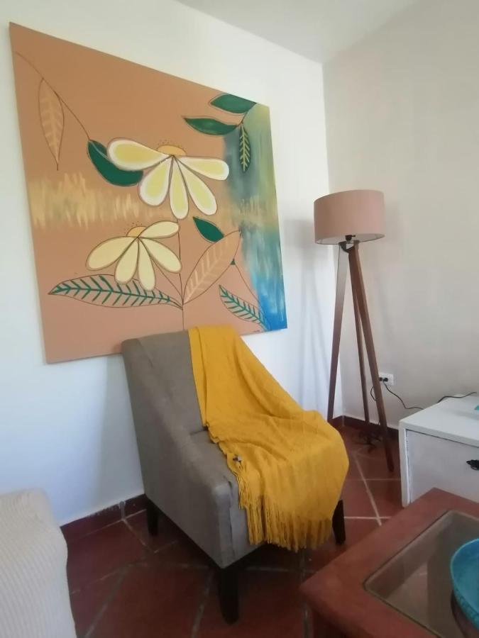 Apartment 24 *