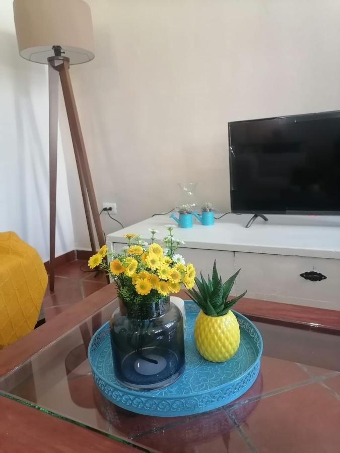 Apartment 24