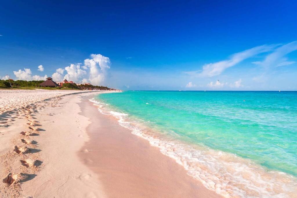 Apartamento Gorgeus 1 Block 5ta - Beach 5 Min. Walking