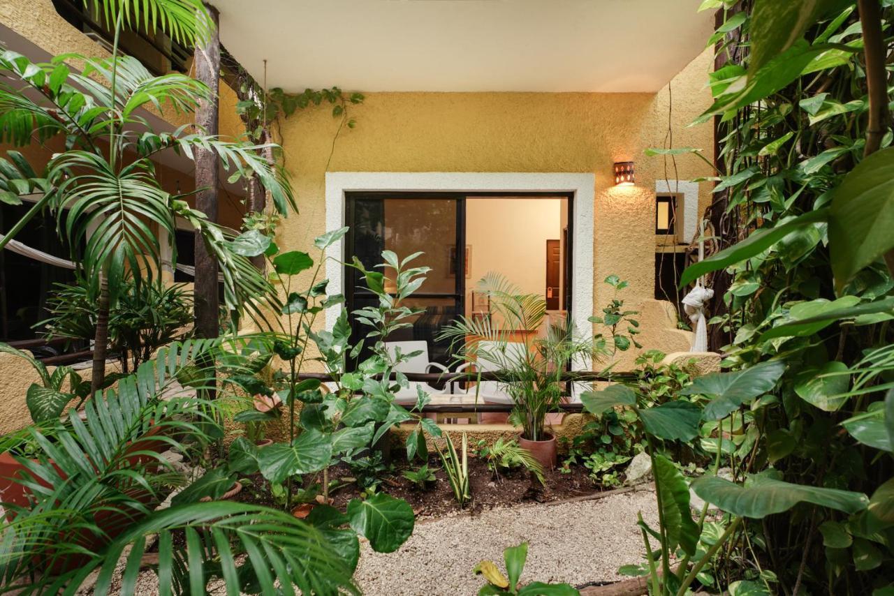 Casa Colibri 4*