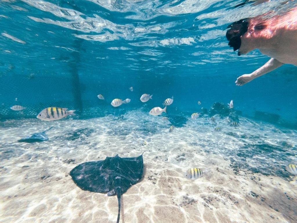 Hostal Mx 5th Avenue Playa del Carmen