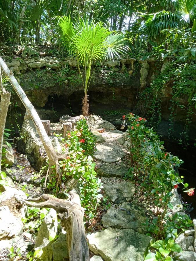 Kuha Glamping Acampamento *