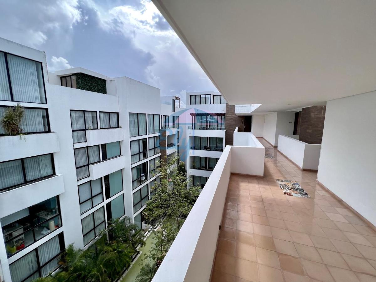 Anah Downtown Luxury