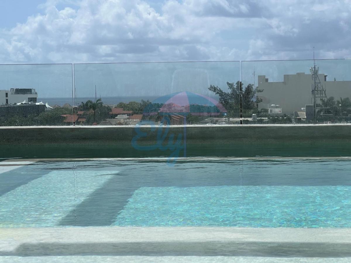 Anah Downtown Luxury Apartment