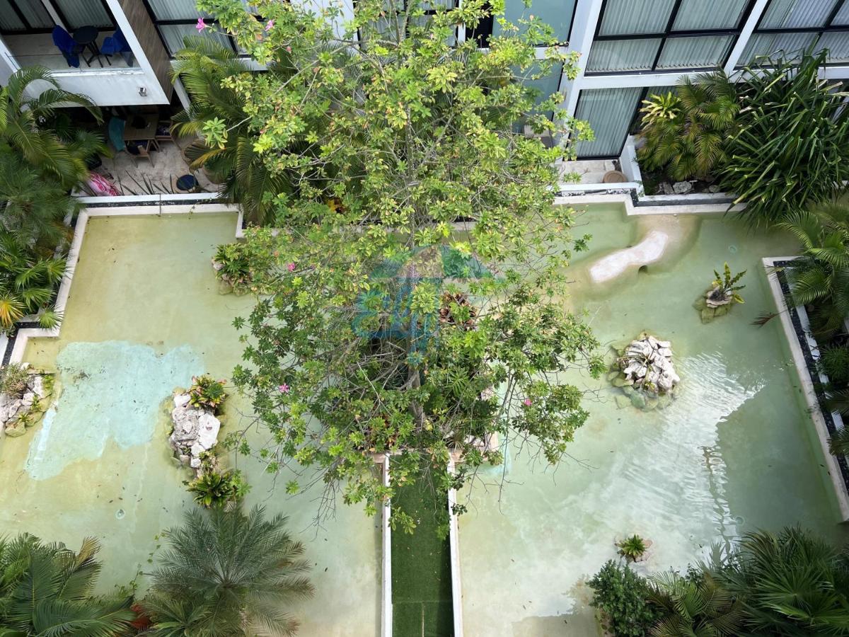 Apartment Anah Downtown Luxury Playa del Carmen
