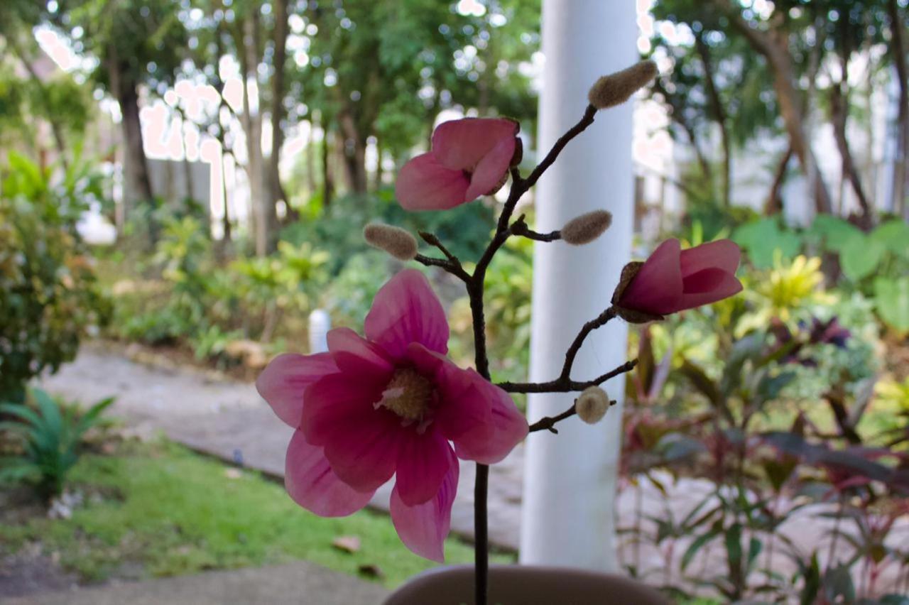 Residencial Bali Casa Mariposa Holiday home Playa del Carmen