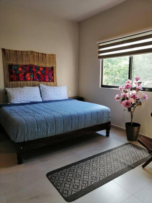 Departamento En Valentina&valeria Căn hộ *