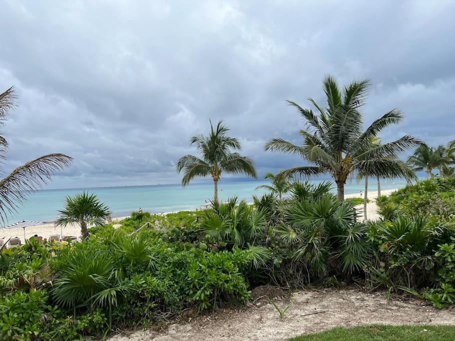Brand New And Amazing Penthouse! Playa del Carmen