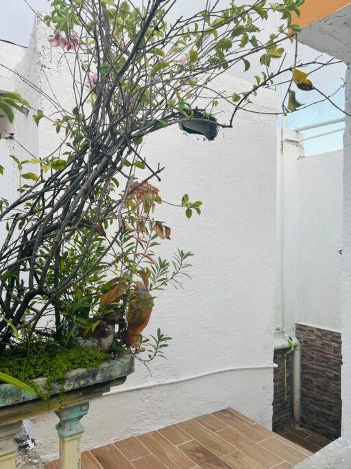Apartment En La Calle 56 Playa del Carmen