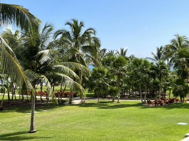Paradise Villa. Amazing Ocean View Apartment. Căn hộ *