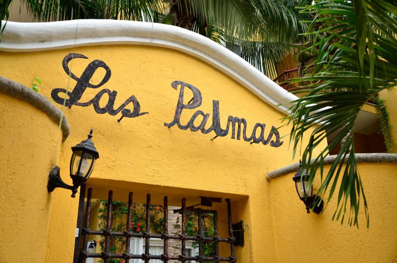 Palmas - Palma Xiat & Cocoyol *