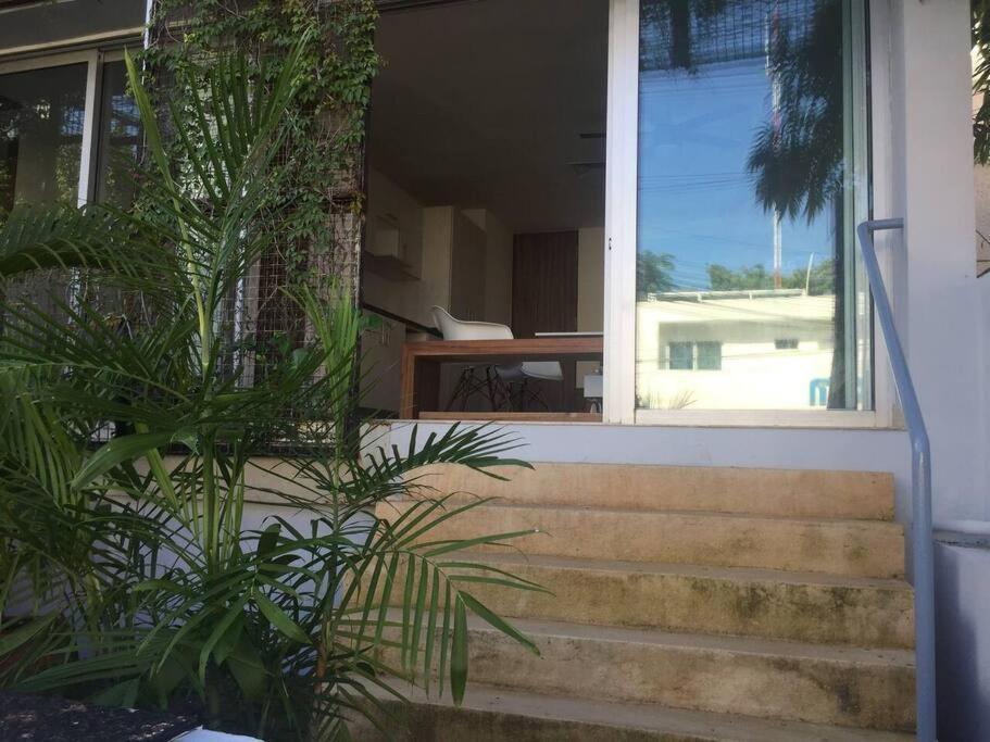 Danzamar 1b With Pool & Rooftop Near Mamitas Apartment *