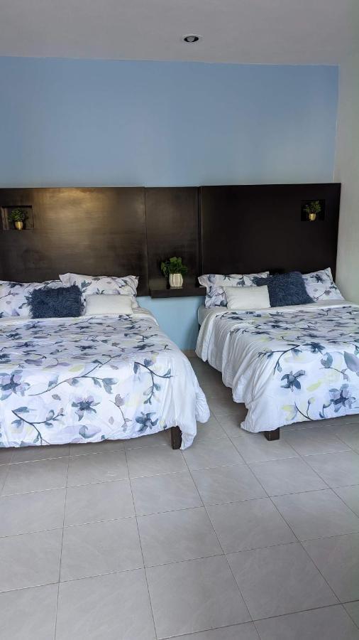 Playa Suites Khách sạn