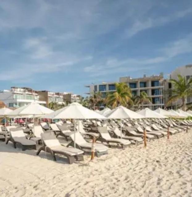 Playa Suites Khách sạn