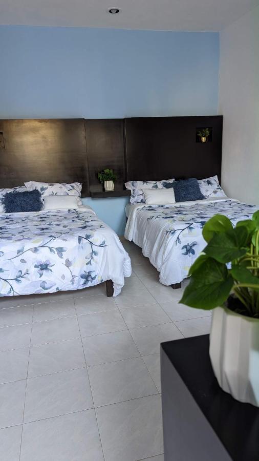 Khách sạn Playa Suites
