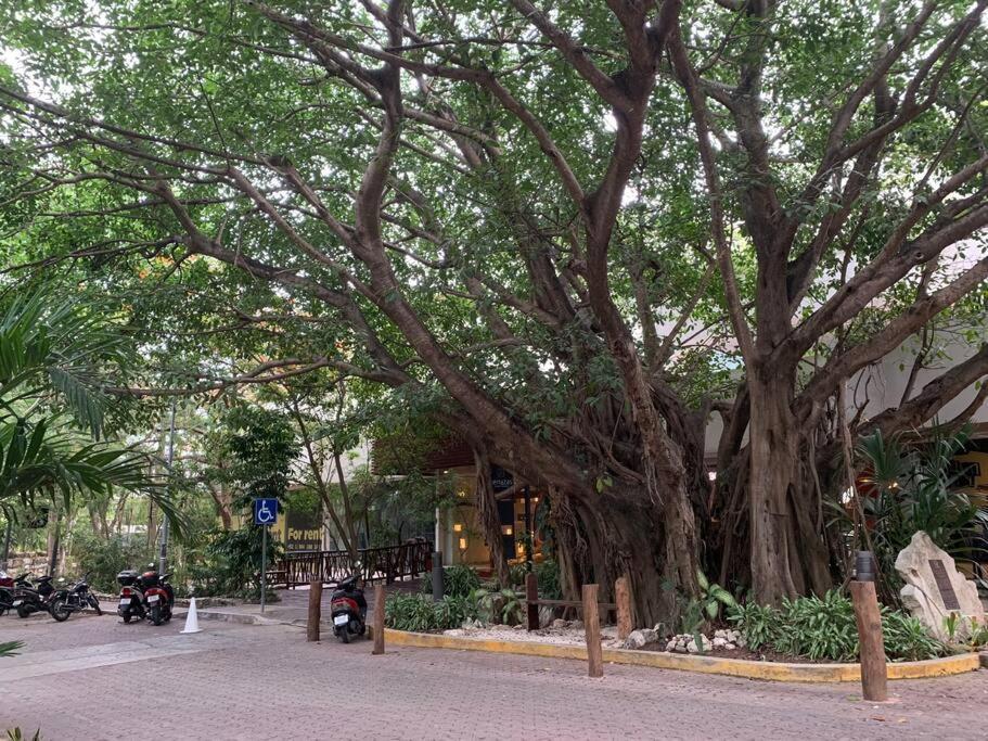 Luxury Between 5th Avenue And The Playa del Carmen