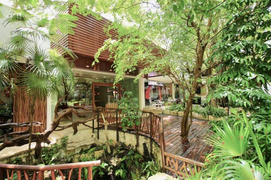 Apartment Luxury Between 5th Avenue And The Playa del Carmen