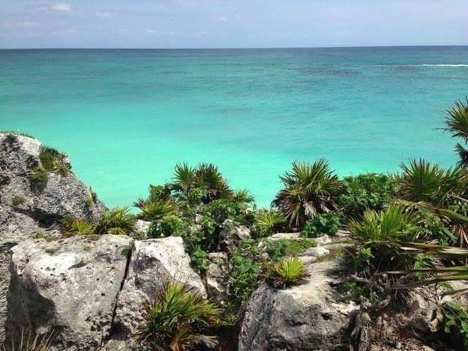 Luxury Between 5th Avenue And The * Playa del Carmen
