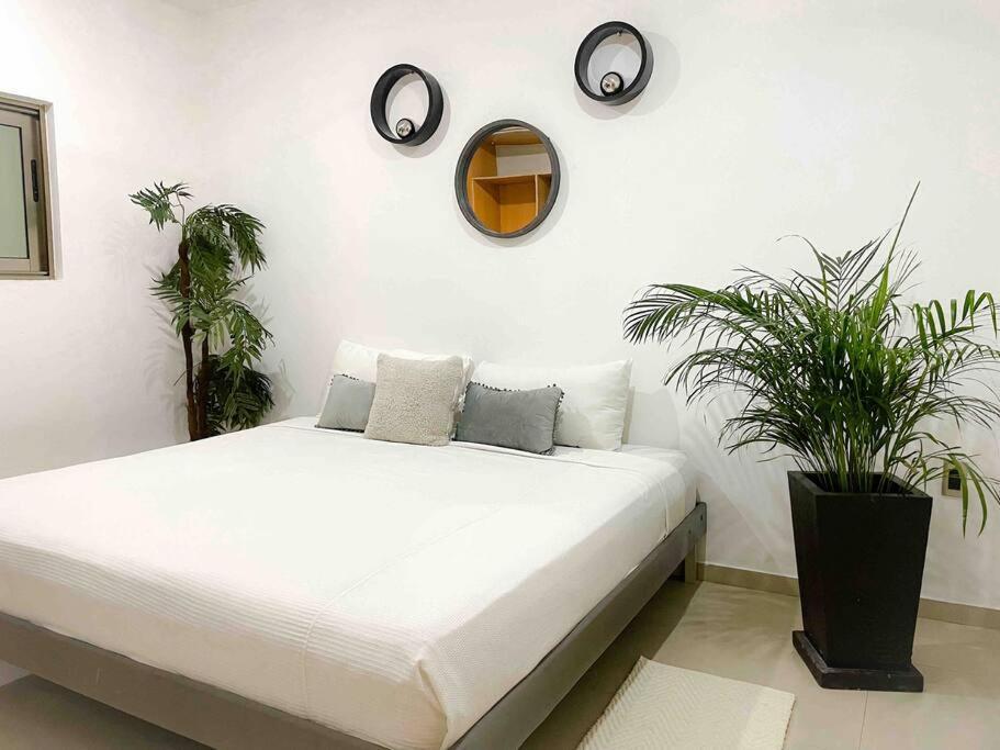 Apartment In The Best Area Of ​​playa Del Carmen Playa del Carmen
