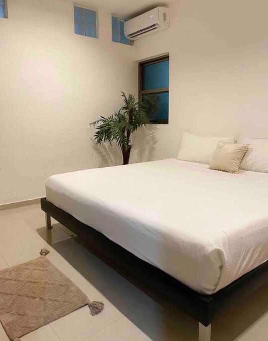 Apartment In The Best Area Of ​​playa Del Carmen *