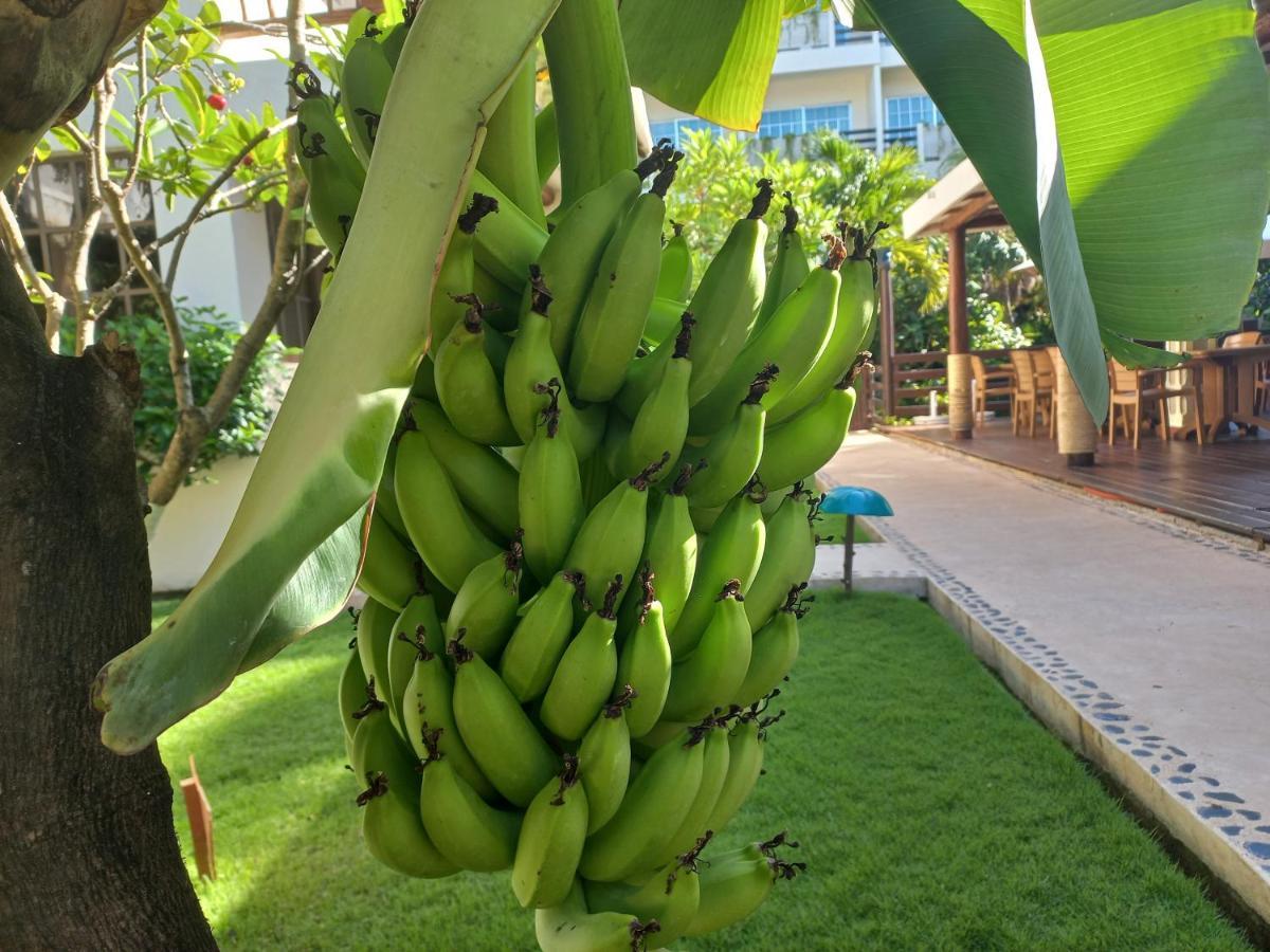 Hotel Sian Kaan