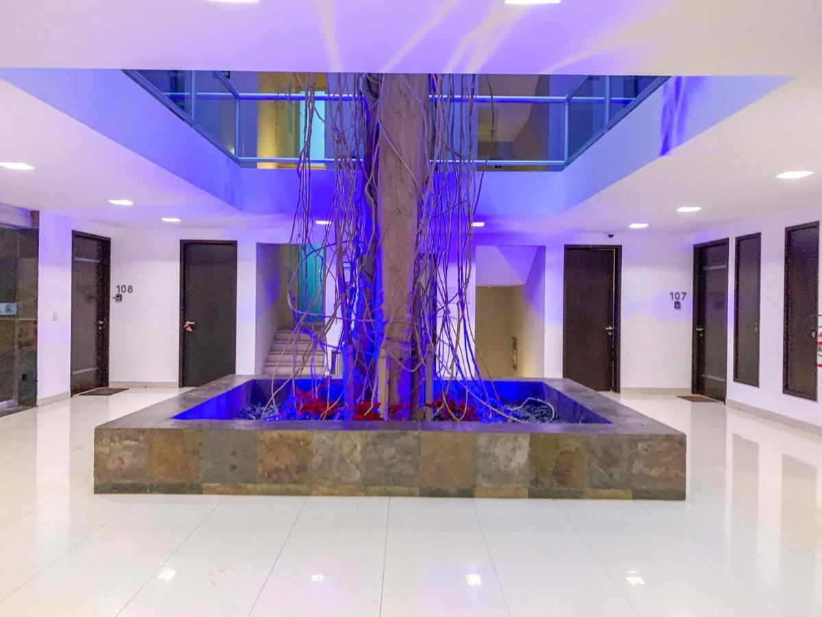 Oasis 12 Apartamento