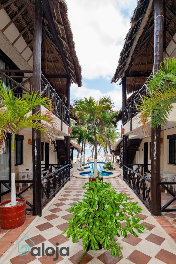 Magnifico Refugio Junto Al Mar Apartment