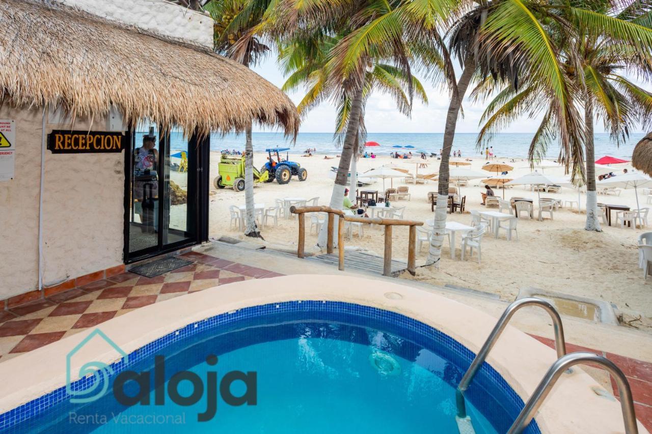 Magnifico Refugio Junto Al Mar Apartment *