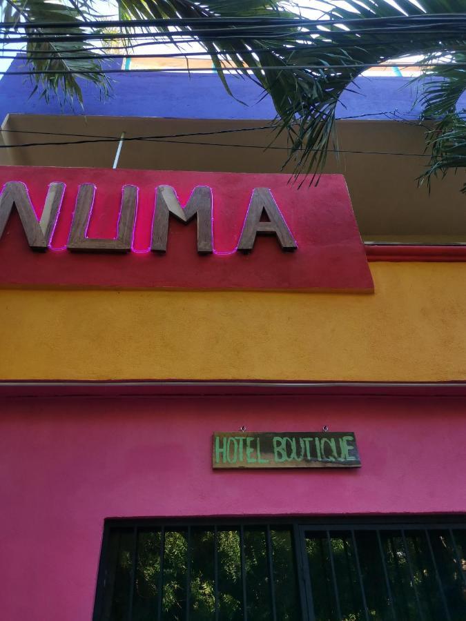 Numa * Playa del Carmen