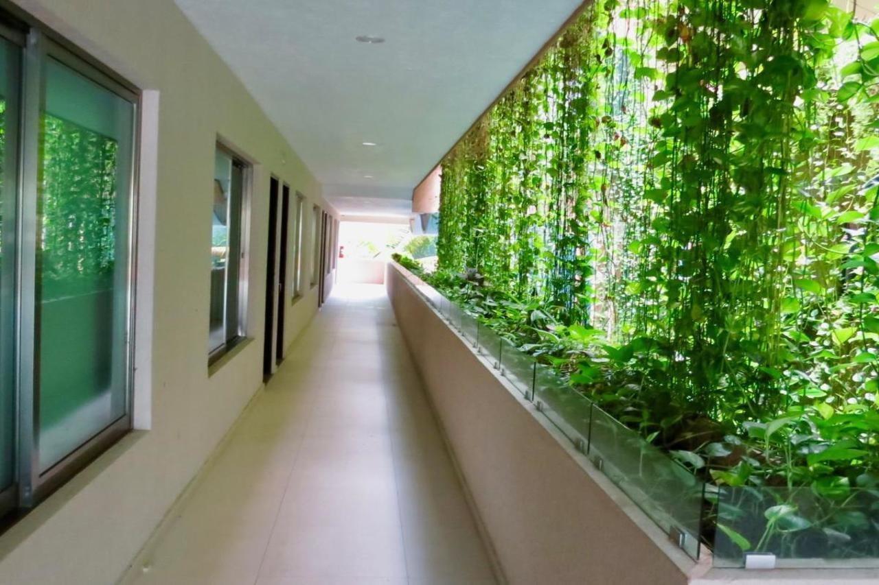 Palmarena & Residences - Long Comfort With Parking, Sauna, Gym & Pool - Steps From 5th Avenue Hotel Playa del Carmen