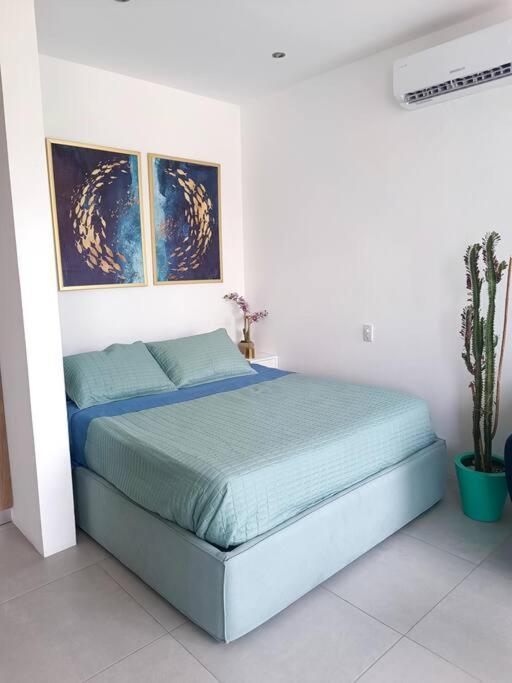 Apartment Casa Menta* Luxury Studio *free Bike *speed Wi-fi! *