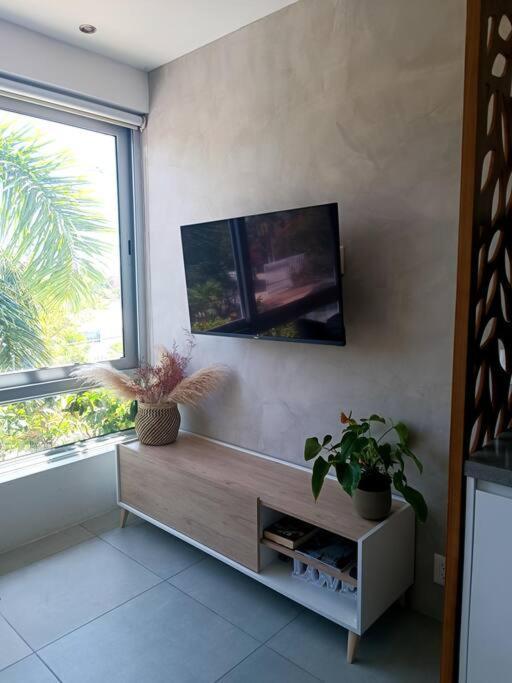 Apartment Casa Menta* Luxury Studio *free Bike *speed Wi-fi! Playa del Carmen