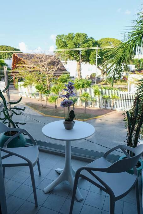 Casa Menta* Luxury Studio *free Bike *speed Wi-fi! Apartment