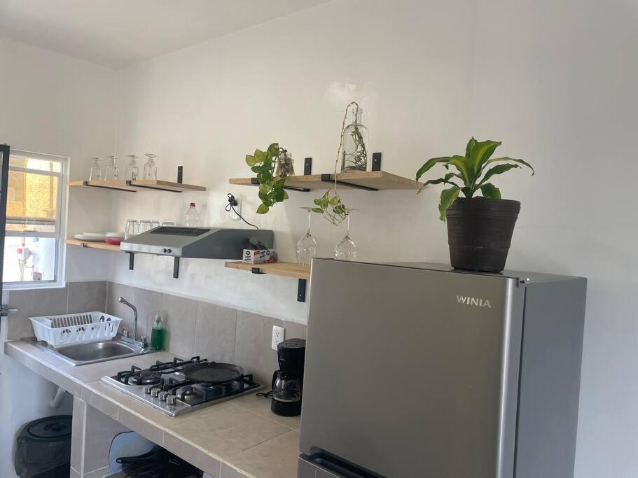 Căn hộ Valentina Iii; Departamento Entero Con Amenidades Playa del Carmen
