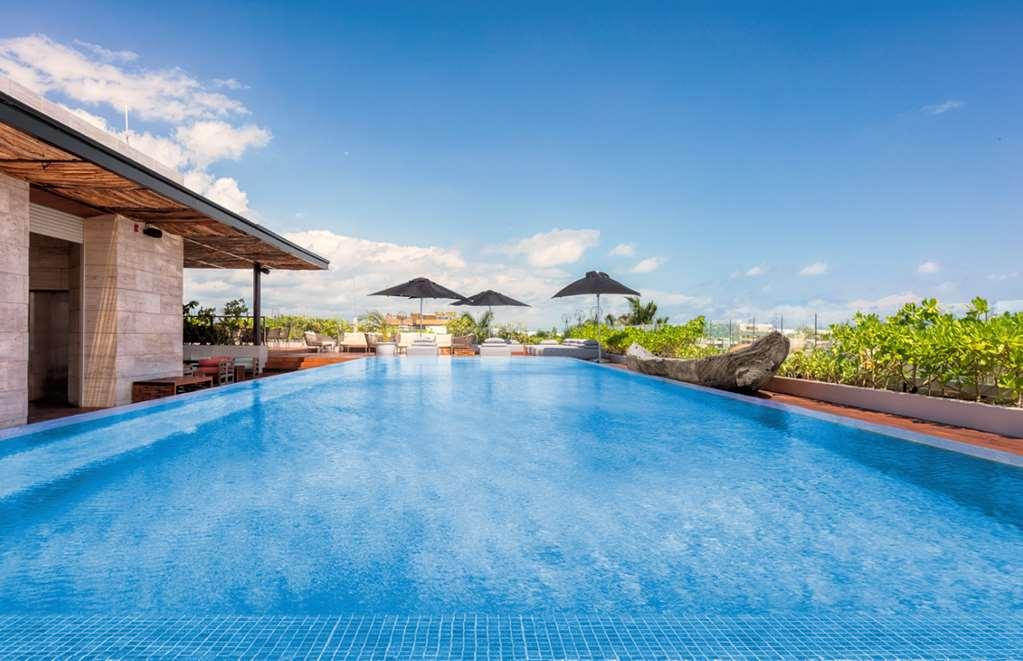 The Yucatan Tapestry * Playa del Carmen