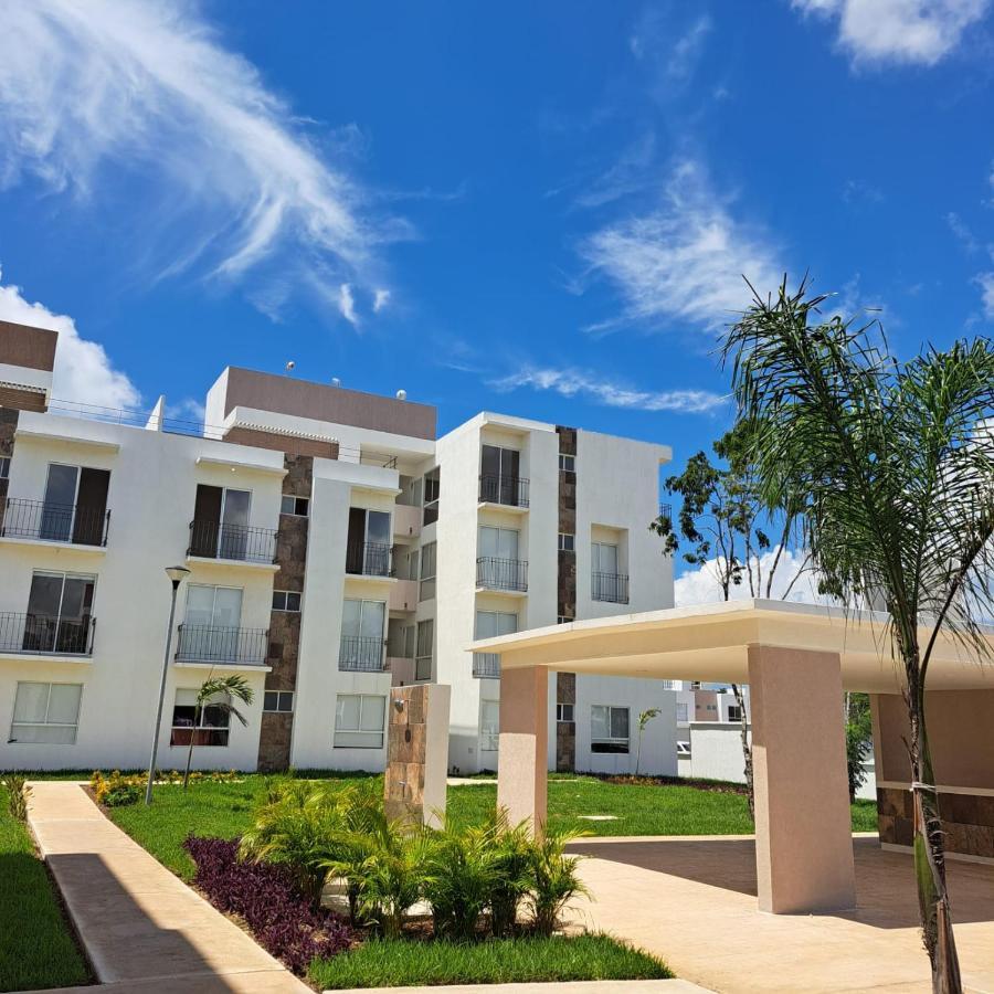 Apartment Palma Bambu.