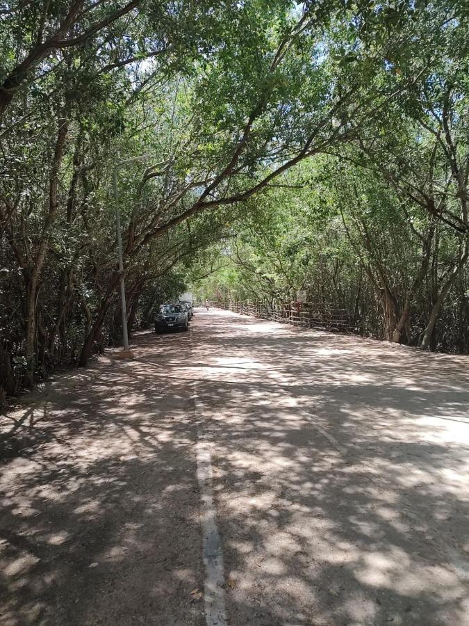 Casa Bugambilias Playa Acomodação com café da manhã  *