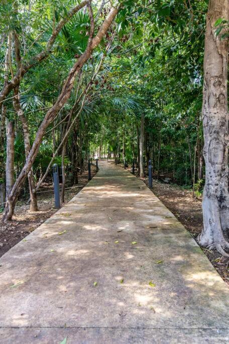 Beautiful 4br, Up To 8 Guests, Private Pool, 10 Min To * Playa del Carmen