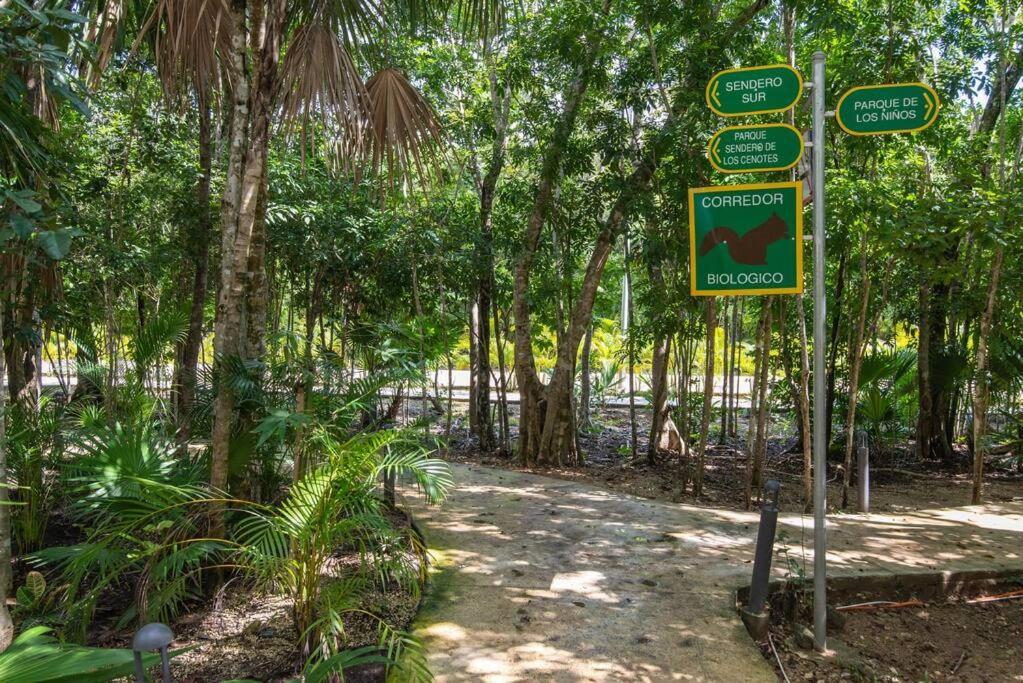 Beautiful 4br, Up To 8 Guests, Private Pool, 10 Min To * Playa del Carmen