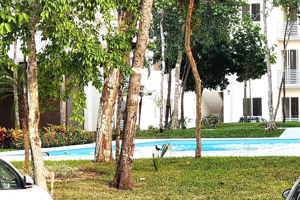 Comodo En Planta Baja, Alberca A 20 Pasos, Modelo Ano 2023 Playa del Carmen