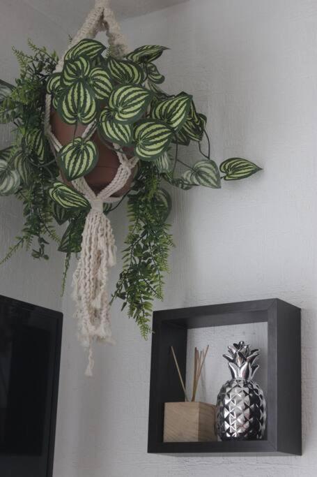 Departamento Tropical En Căn hộ *