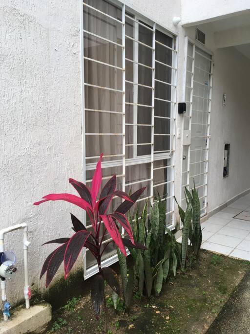 Căn hộ Departamento Tropical En *